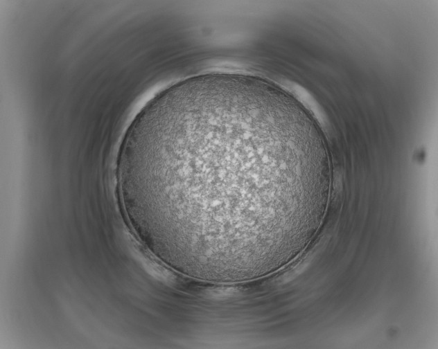 X0000097671435200803142145