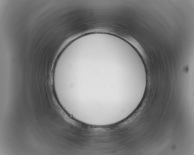 X0000097671436200803142145