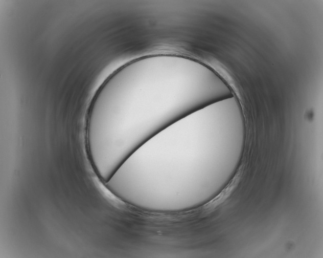 X0000097671438200803142145