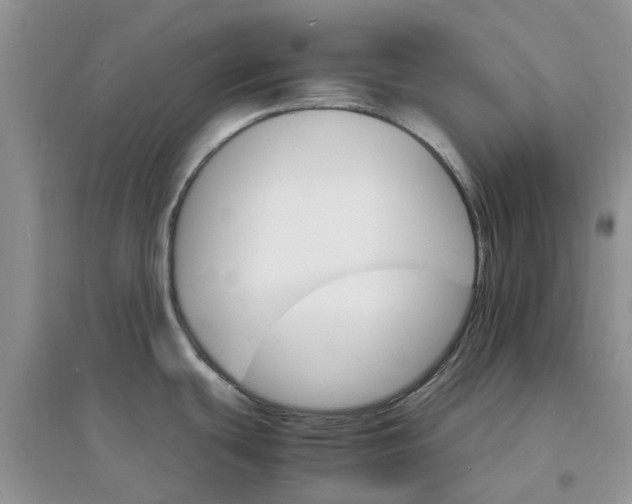 X0000097671439200803142145