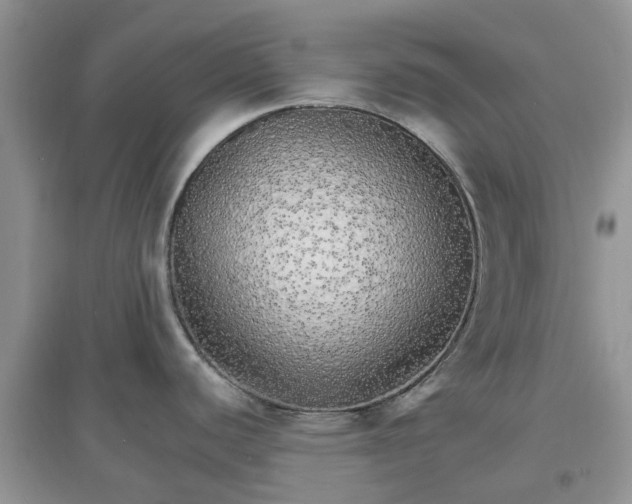 X0000097671440200803142145