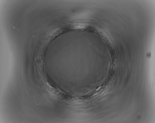 X0000097671441200803142144