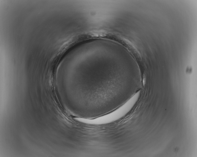 X0000097671444200803142144