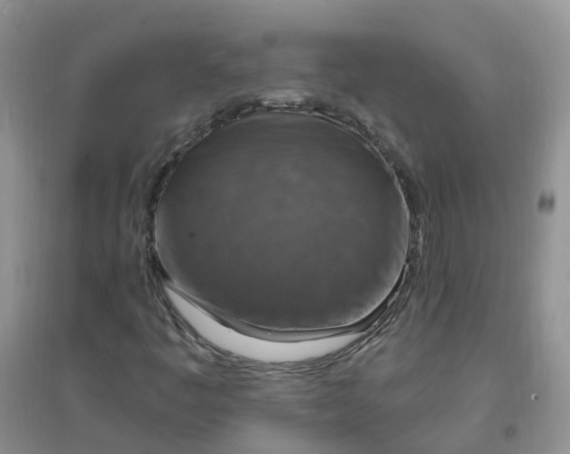 X0000097671445200803142144