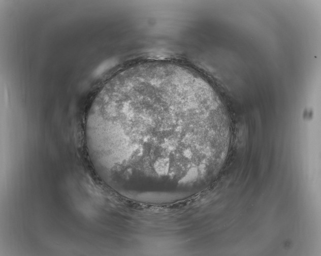 X0000097671446200803142144