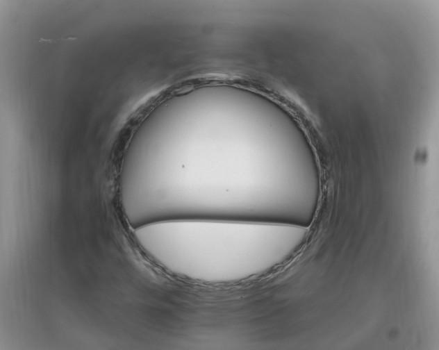 X0000097671448200803142144