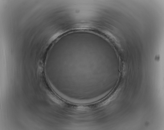 X0000097671449200803142144