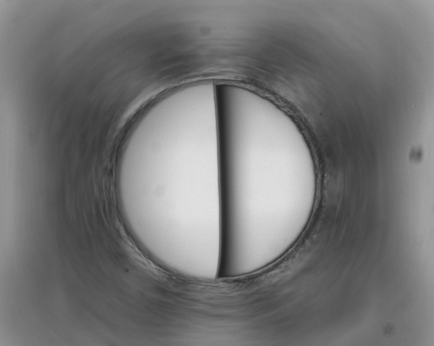 X0000097671450200803142144