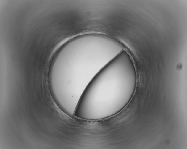 X0000097671452200803142144