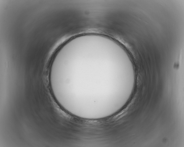 X0000097671454200803142144