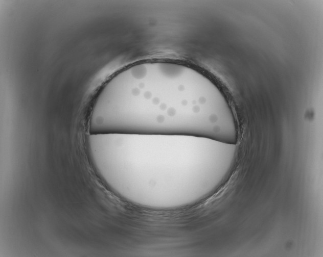 X0000097671455200803142144