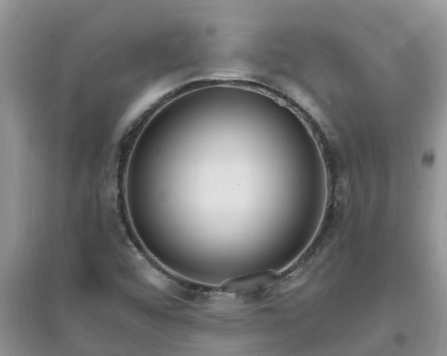 X0000097671456200803142144