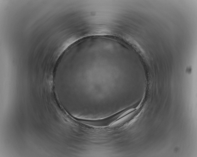 X0000097671457200803142144