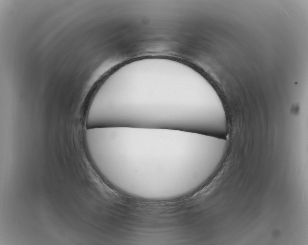 X0000097671458200803142144
