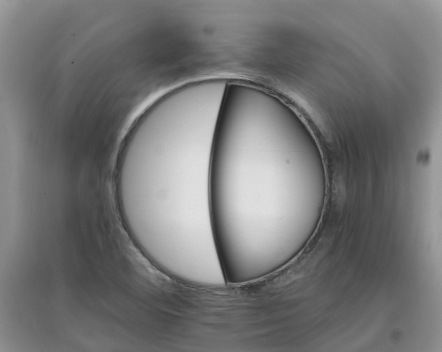 X0000097671460200803142144