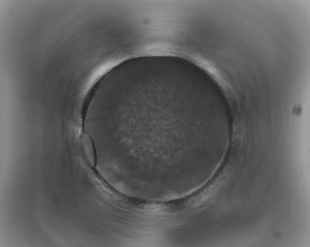 X0000097671461200803142144