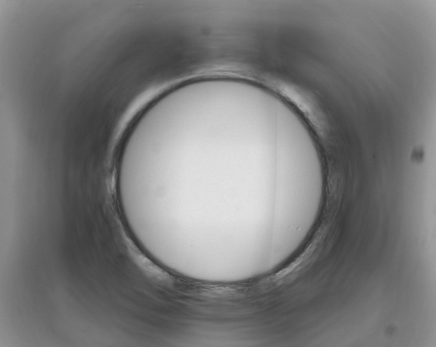 X0000097671462200803142144