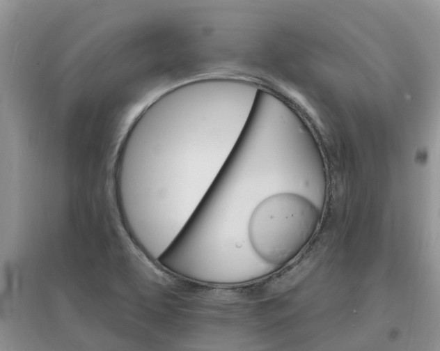 X0000097671463200803142144