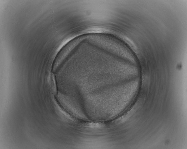 X0000097671465200803142144