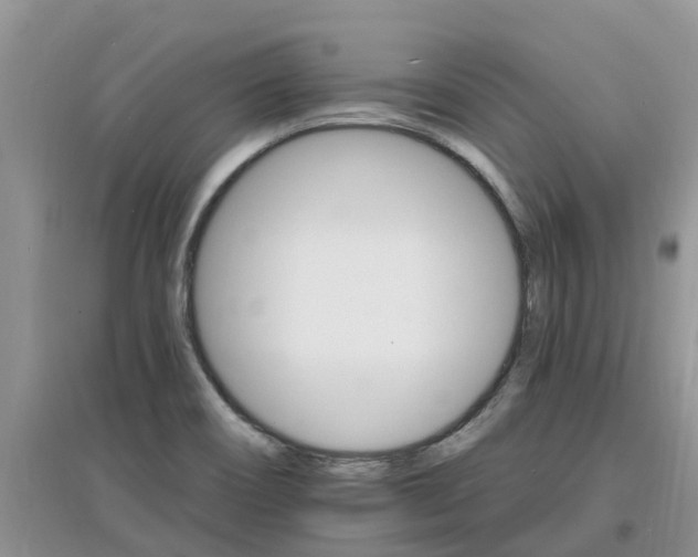 X0000097671466200803142144