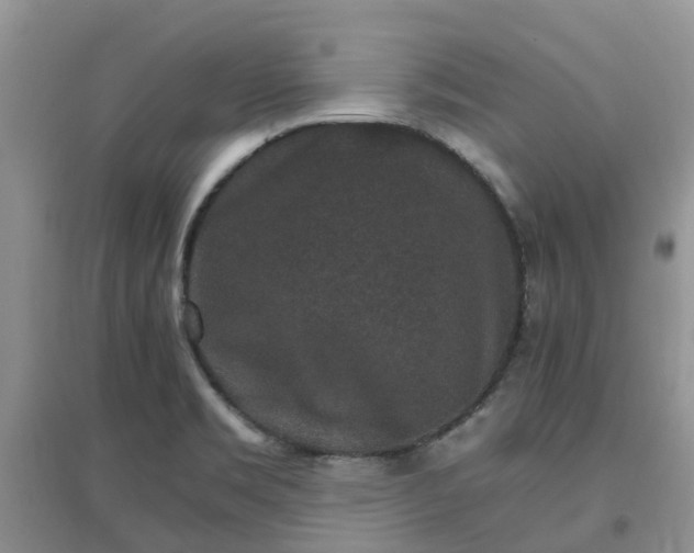 X0000097671469200803142144