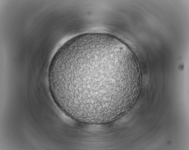 X0000097671470200803142144