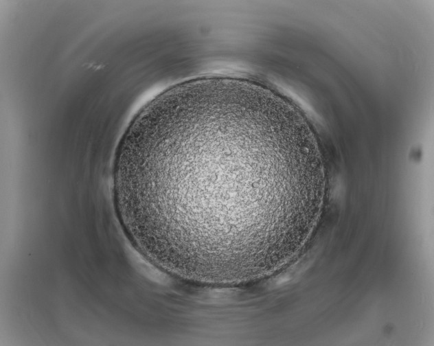 X0000097671471200803142143