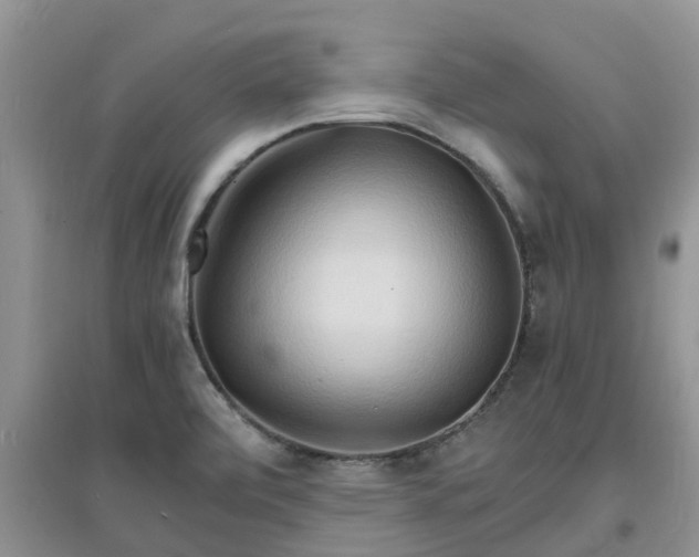 X0000097671472200803142143