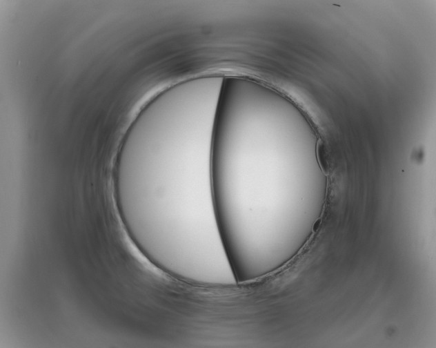 X0000097671476200803142143