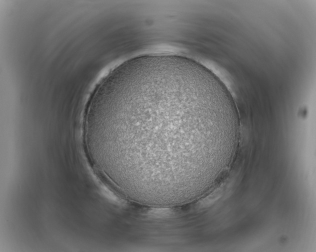 X0000097671477200803142143