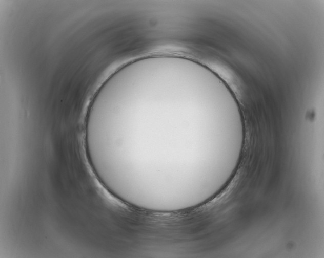 X0000097671478200803142143