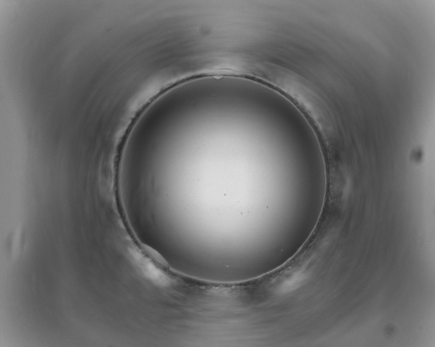 X0000097671480200803142143