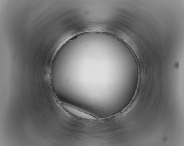 X0000097671481200803142143