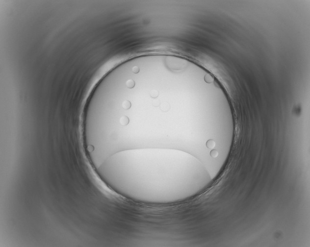X0000097671482200803142143