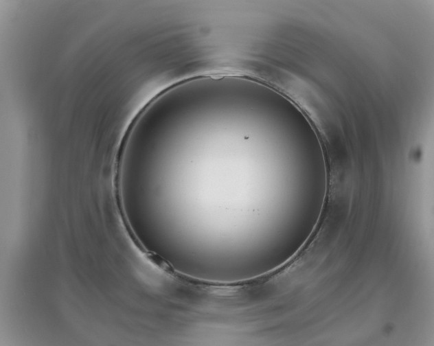 X0000097671484200803142143
