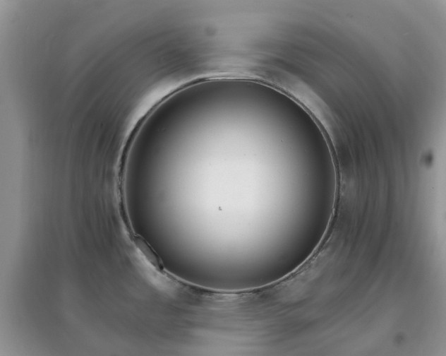 X0000097671485200803142143