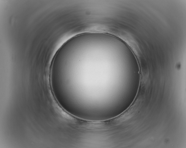 X0000097671486200803142143