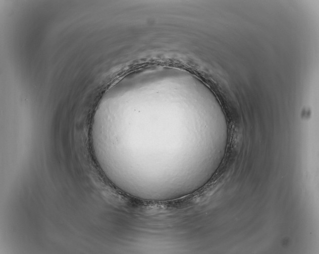 X0000097671489200803142143
