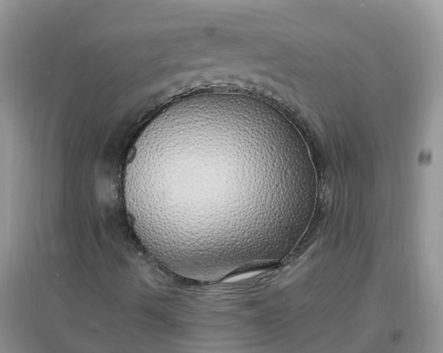 X0000097671490200803142143