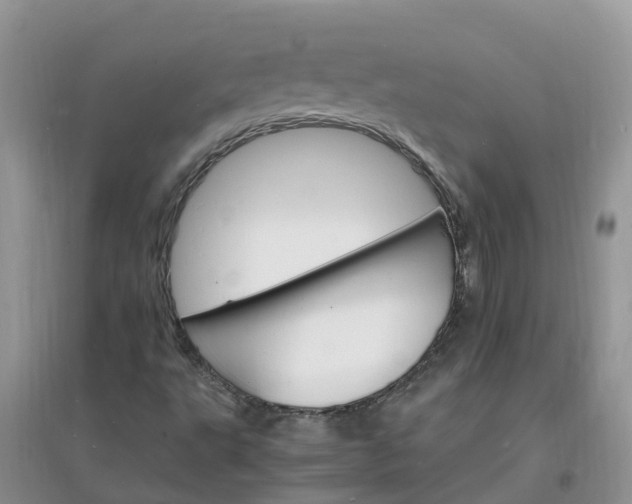 X0000097671495200803142143