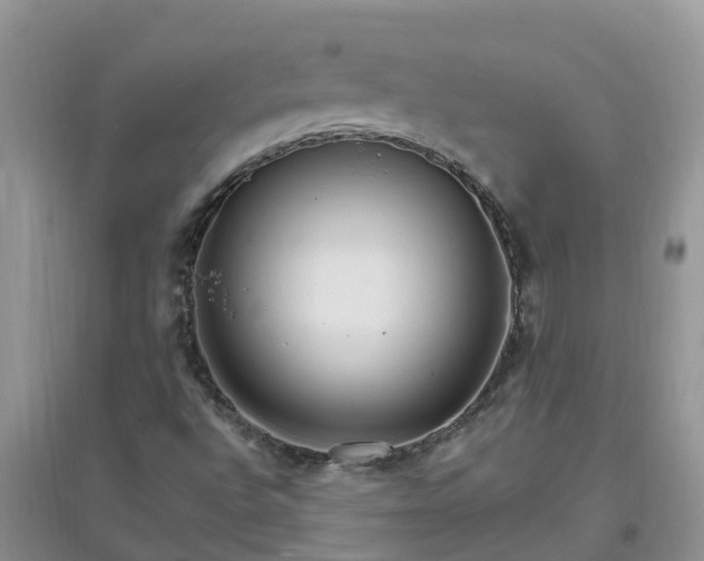 X0000097671496200803142143