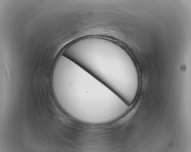 X0000097671497200803142143