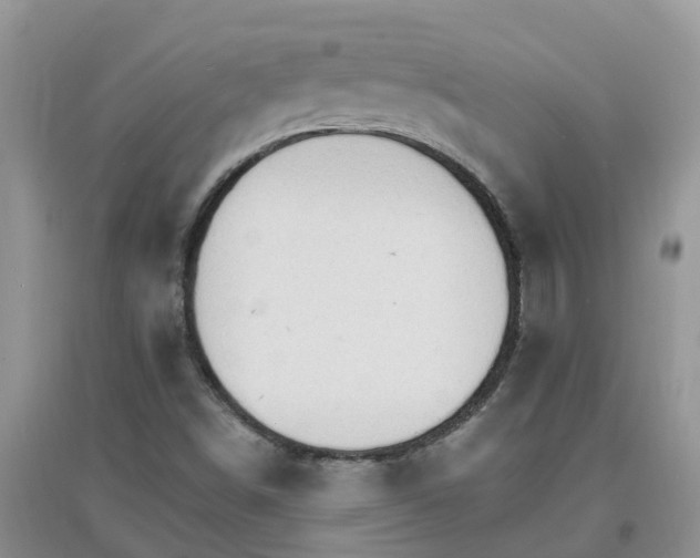 X0000097671498200803142143