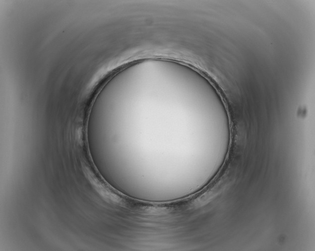 X0000097671499200803142143