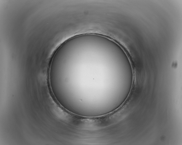 X0000097671500200803142143