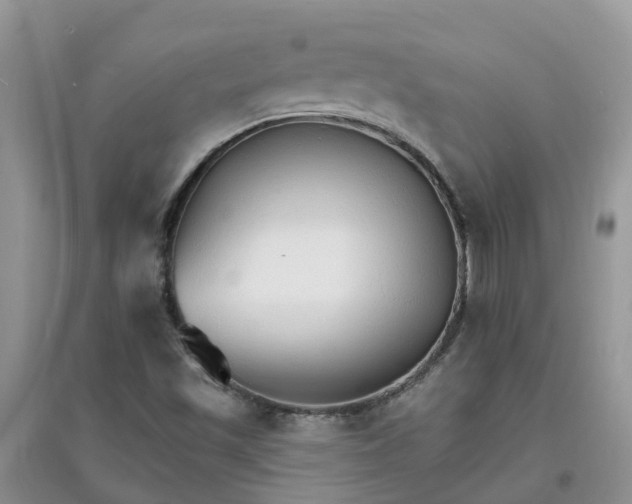 X0000097671501200803142143