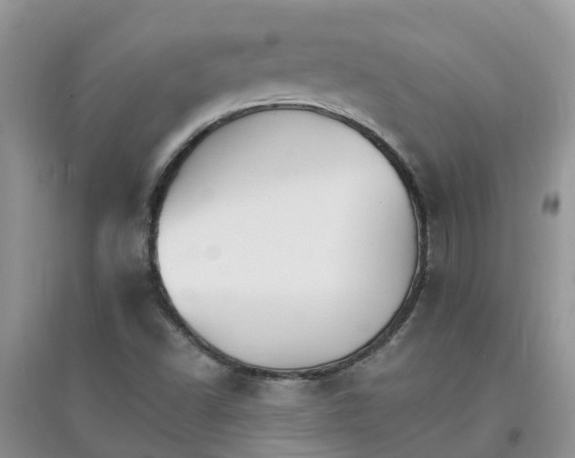 X0000097671502200803142143