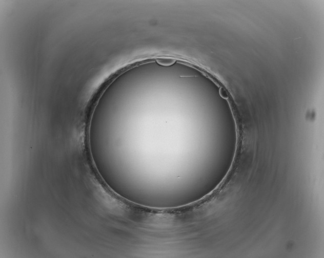 X0000097671503200803142143
