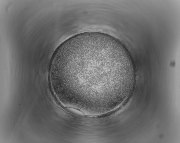 X0000097671505200803142143