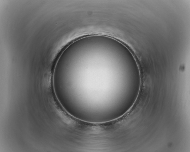 X0000097671507200803142143